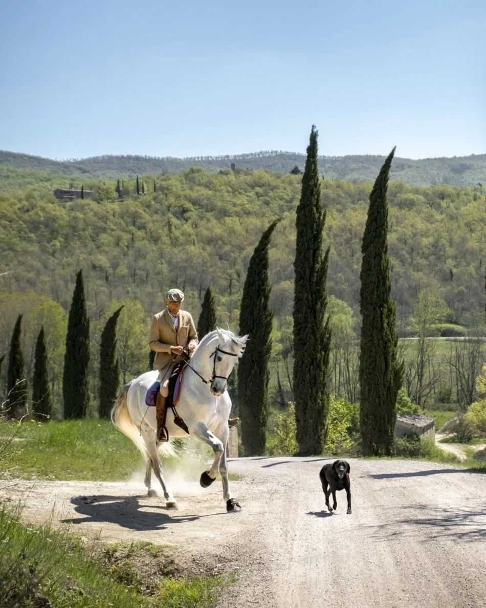 Vì sao năm Ngựa là tin tốt cho thế hệ Millennials (Hay Gen Y)