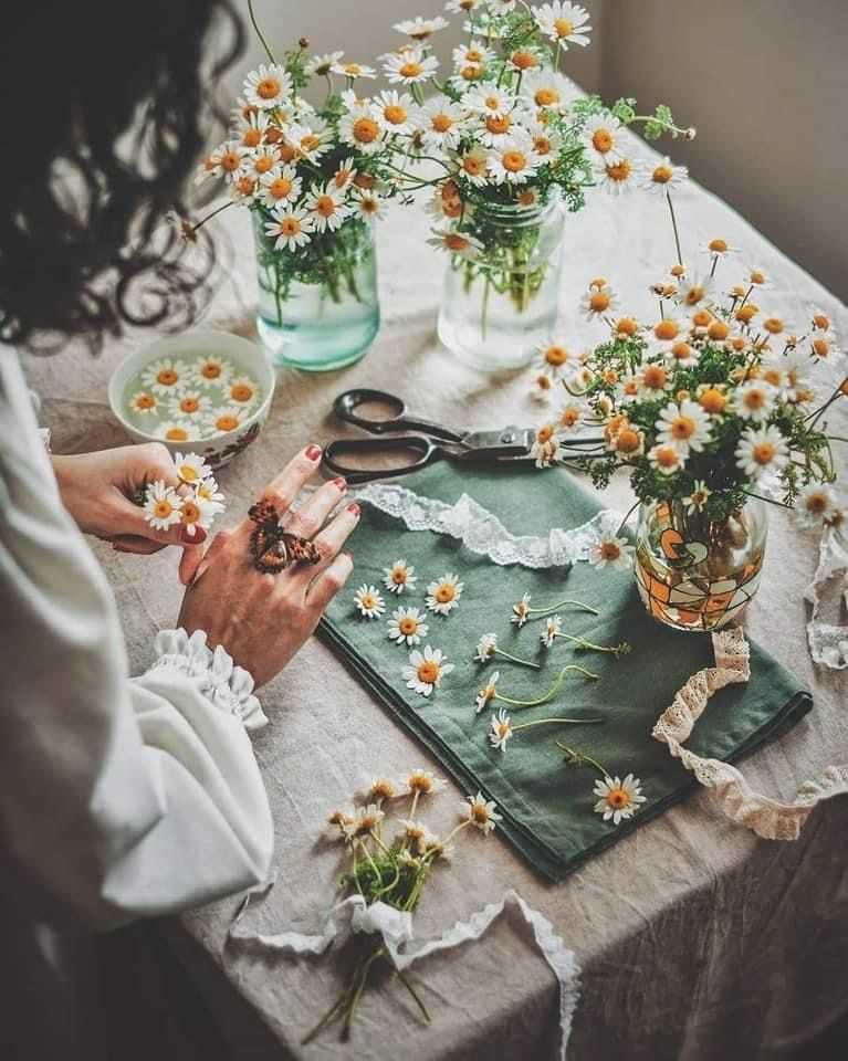 Giữa những ngày chông chênh: Học cách vượt qua nỗi buồn bằng những điều nhỏ bé nhưng bền bỉ