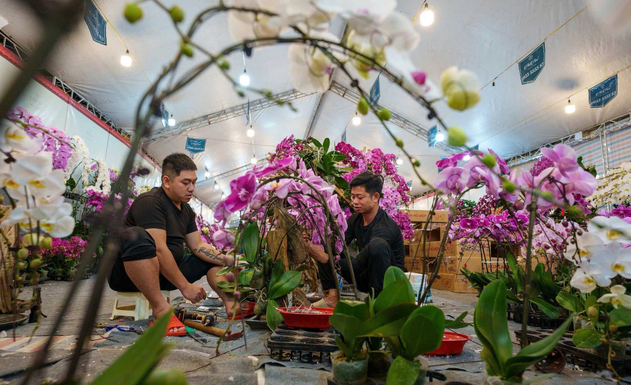 Thợ cắm hoa lan “hốt bạc” mùa Tết: Hàng hóa đặc thù lên ngôi ở các chợ hoa Hà Nội