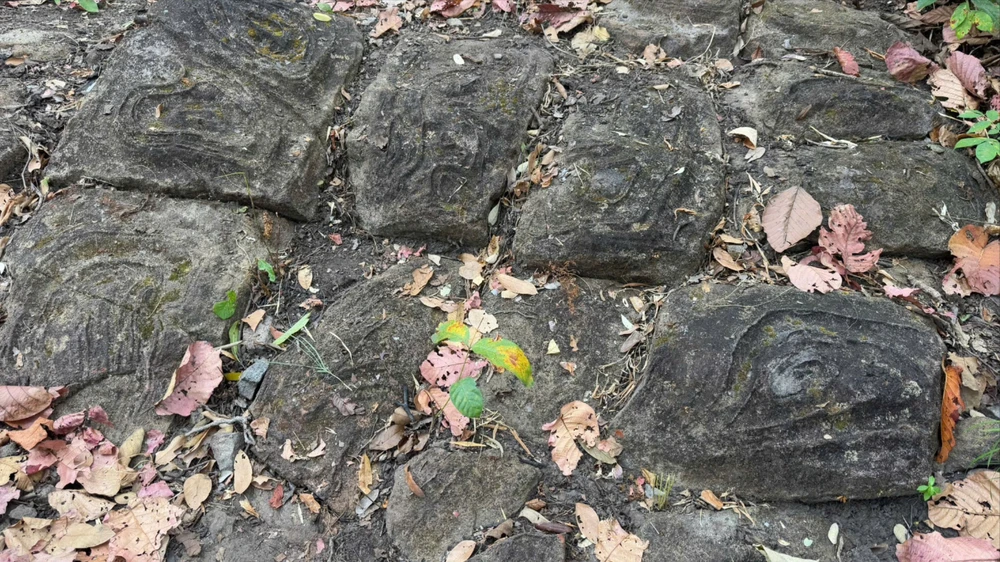 Thích thú ngắm những viên đá có họa tiết lượn sóng, xoắn ốc lạ kỳ ở Vườn quốc gia Yok Đôn (Đắk Lắk)