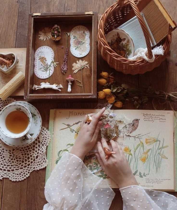 Giữa những ngày chông chênh: Học cách vượt qua nỗi buồn bằng những điều nhỏ bé nhưng bền bỉ