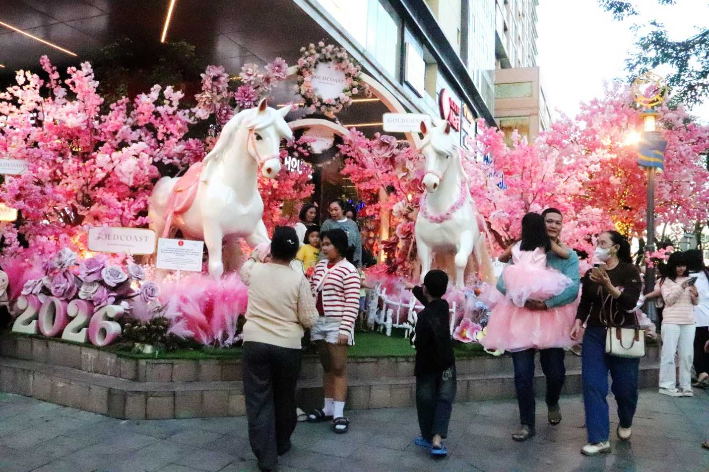 Du khách thích thú check-in với bạch mã tại Nha Trang