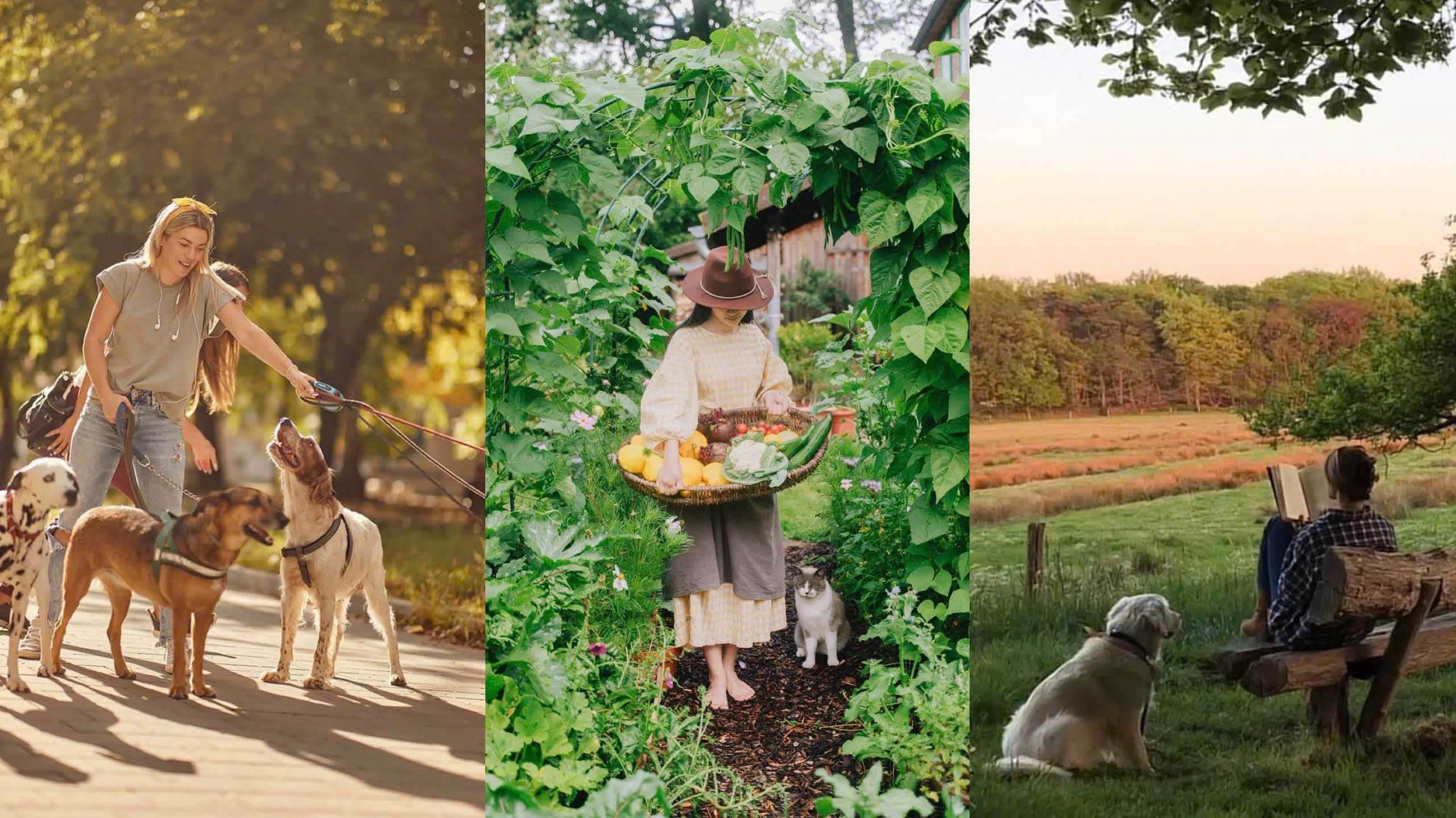 Giữa những ngày chông chênh: Học cách vượt qua nỗi buồn bằng những điều nhỏ bé nhưng bền bỉ