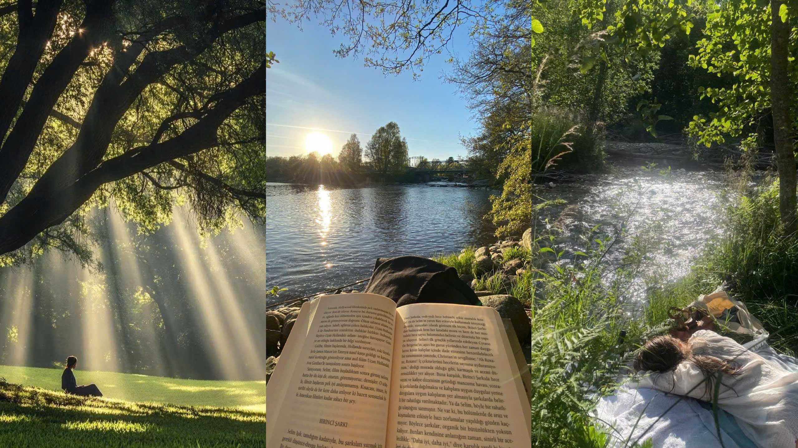 Giữa những ngày chông chênh: Học cách vượt qua nỗi buồn bằng những điều nhỏ bé nhưng bền bỉ