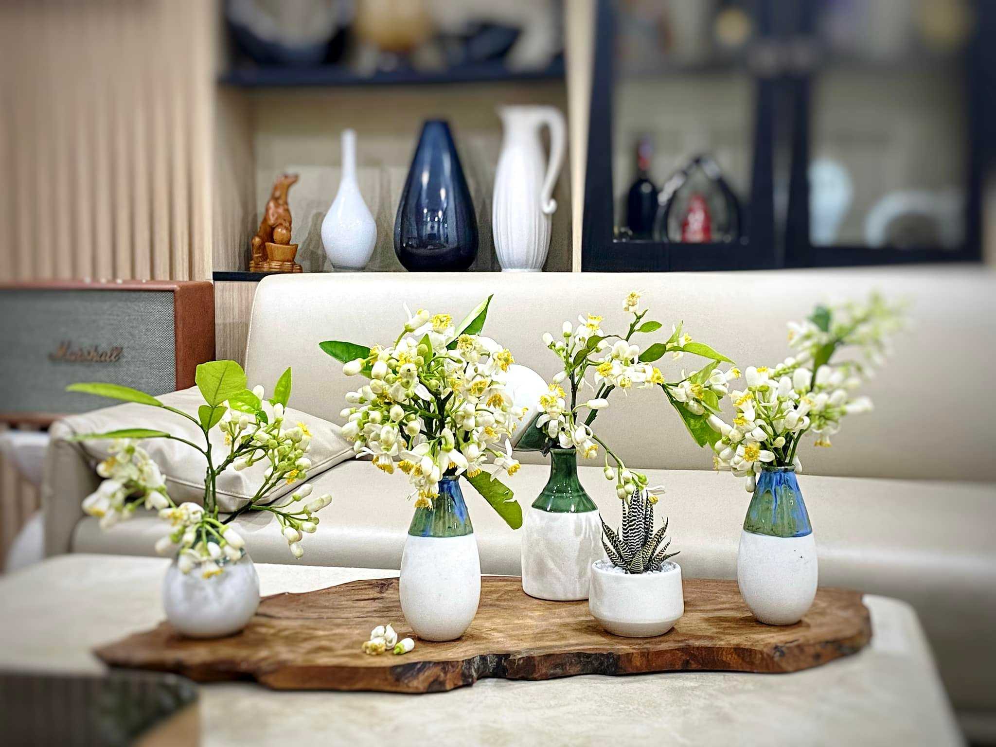 Hương bưởi tháng Ba: Nhẹ nhàng mà say đắm