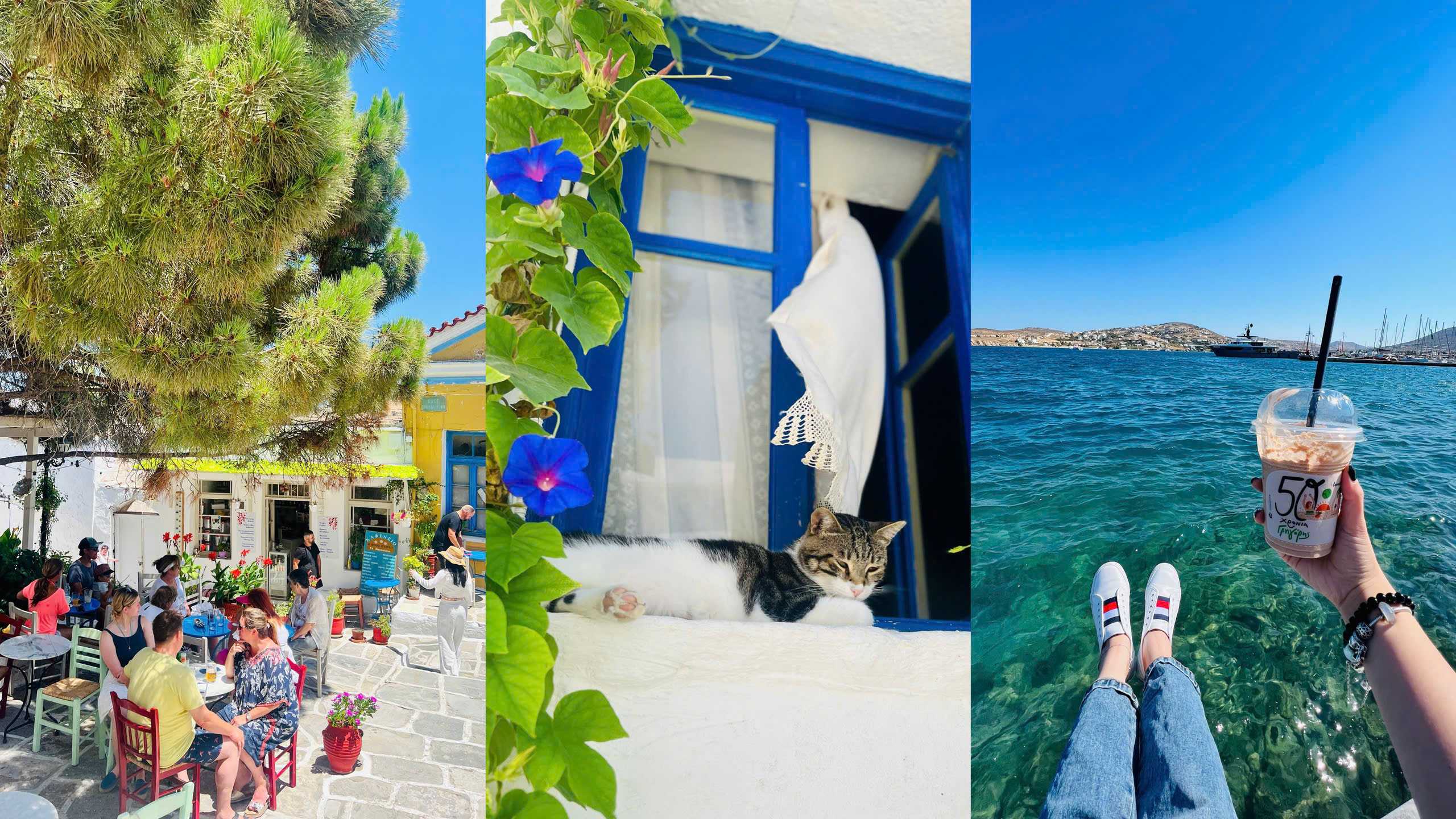 Suy nghĩ như một con ốc sên: Bài học thích nghi sâu sắc từ sinh vật chậm chạp nhất trong khu vườn…